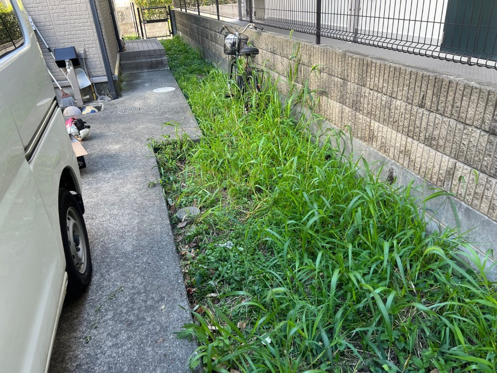 作業前3