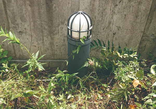 植え込み